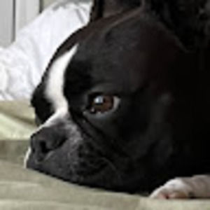 Meet your Posher, Keira